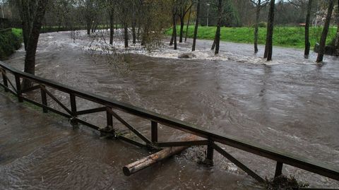 Un tronco arrastrado por el agua, enganchado en la barandilla del paseo fluvial de Chantada, al lado de A Ponte Nova