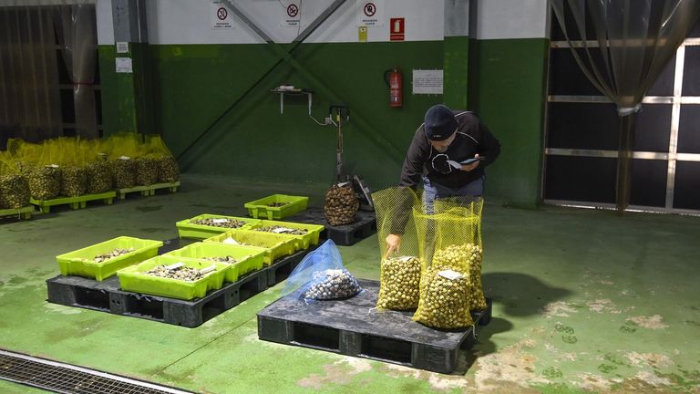 El marisqueo a pie vuelve «expectante» a las playas de la ría de Pontevedra a las puertas de Navidad