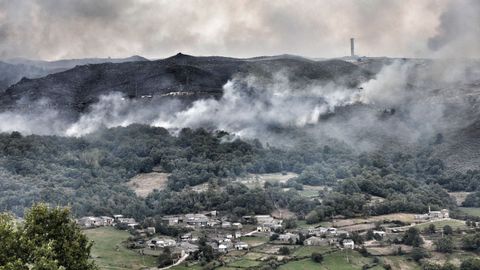 Incendio forestal este verano en Vilario de Conso 