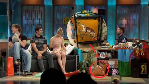 El coj�n de la tienda gijonesa Zooh en La Revuelta