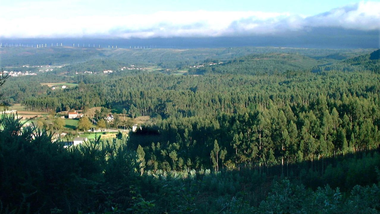 Parte de los montes de Treos