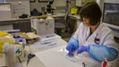 Una especialista de la Polica Cientfica analiza una muestra biolgica en el laboratorio de ADN de A Corua