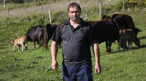 Roberto Louzán, en su ganadería de Cerdedo-Cotobade, donde tiene unas 130 cabezas de vacuno. 