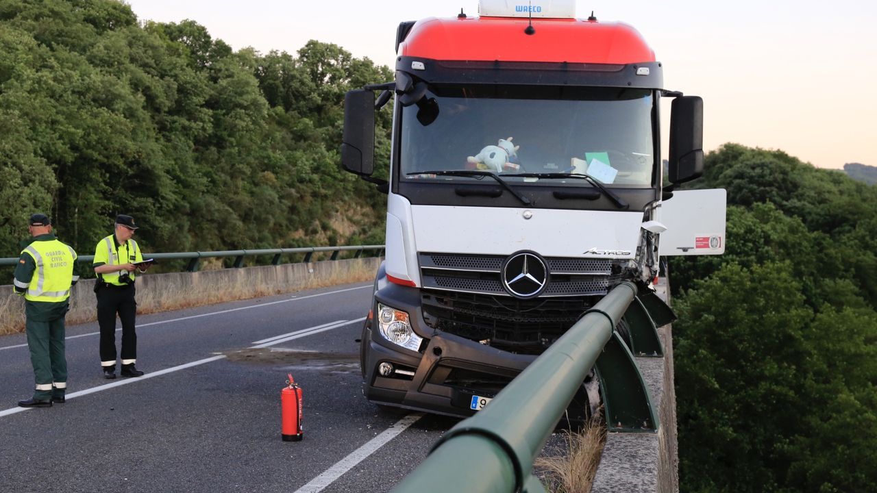 Rescatado un perro que vagaba por el corredor de Nadela a Monforte