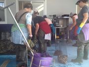 ...Mariscadoras en la nueva lonja de Cesantes