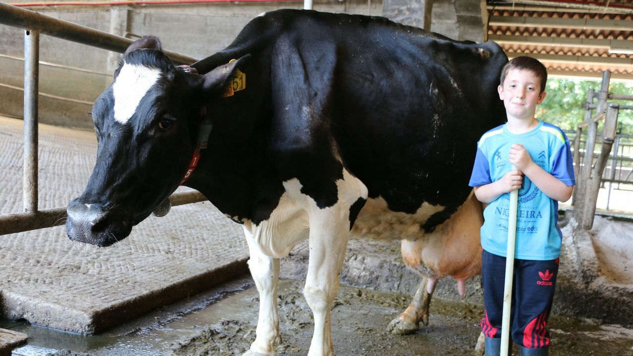 Una feria que va a m�s.Romer�a de Anova el a�o pasado en el parque de Galeras con motivo del 25 de xullo