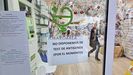 Los test de antgenos estn agotados en muchas farmacias de Pontevedra