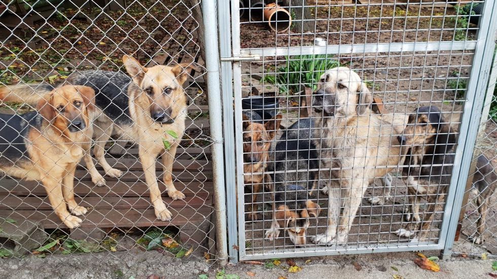 As� escond�an los tel�fonos m�viles que robaban a cara descubierta.Microefectos Dramat�rxicos act�a esta noche en el Club Clavic�mbalo