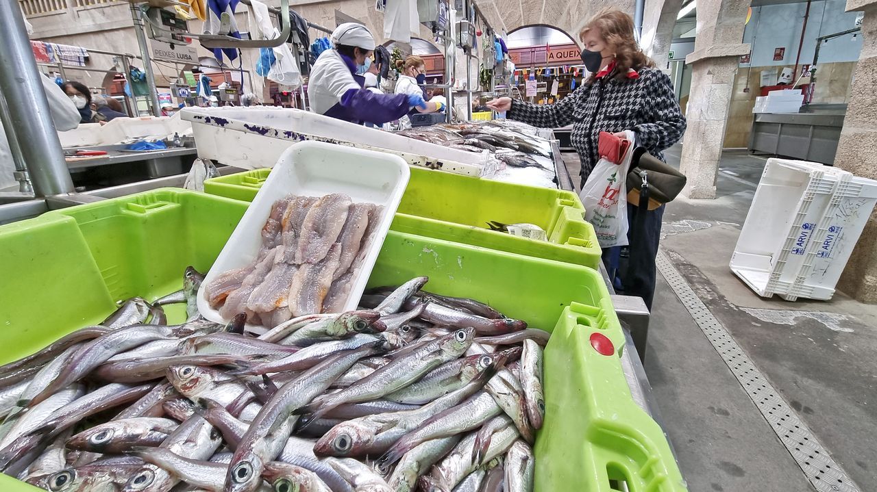 Descarga de sardina en un puerto gallego (imagen de archivo)