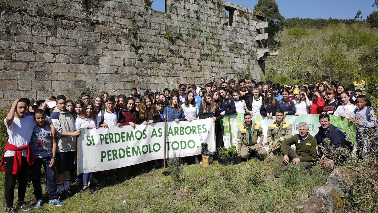 El pato criollo que vigilaba el �paseo del colesterol�