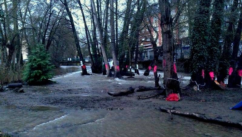 Los vecinos de Vigo de Galegos se acercaron al lugar del incendio para apoyar a la familia