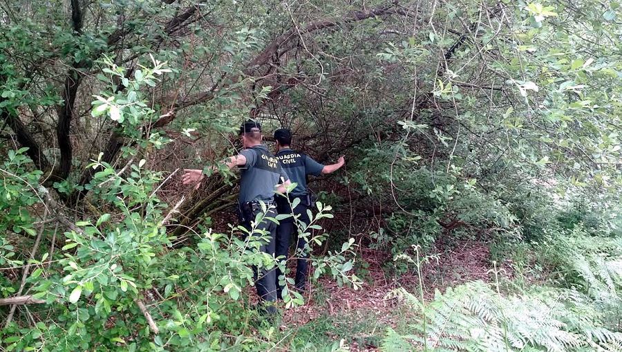Hallan restos humanos cerca de la casa de un anciano de