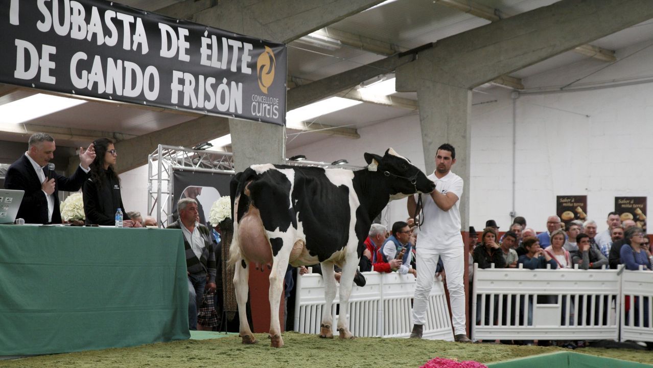 El Esmorga Fest se present hace unos das en la Diputacin