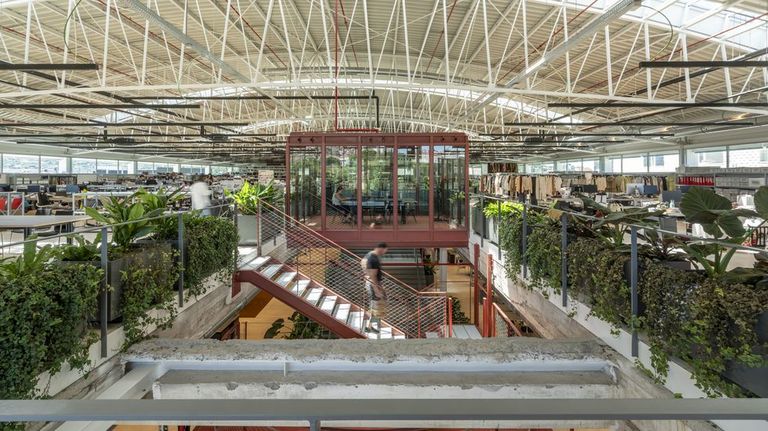 Bimba y Lola sella un 2025 con ventas por 250 millones, un 7 % más