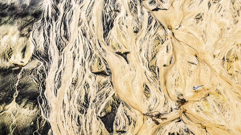 Imagen con la que Mario Su�rez Porras�se hizo con el primer premio del Festival de las aves de Francia