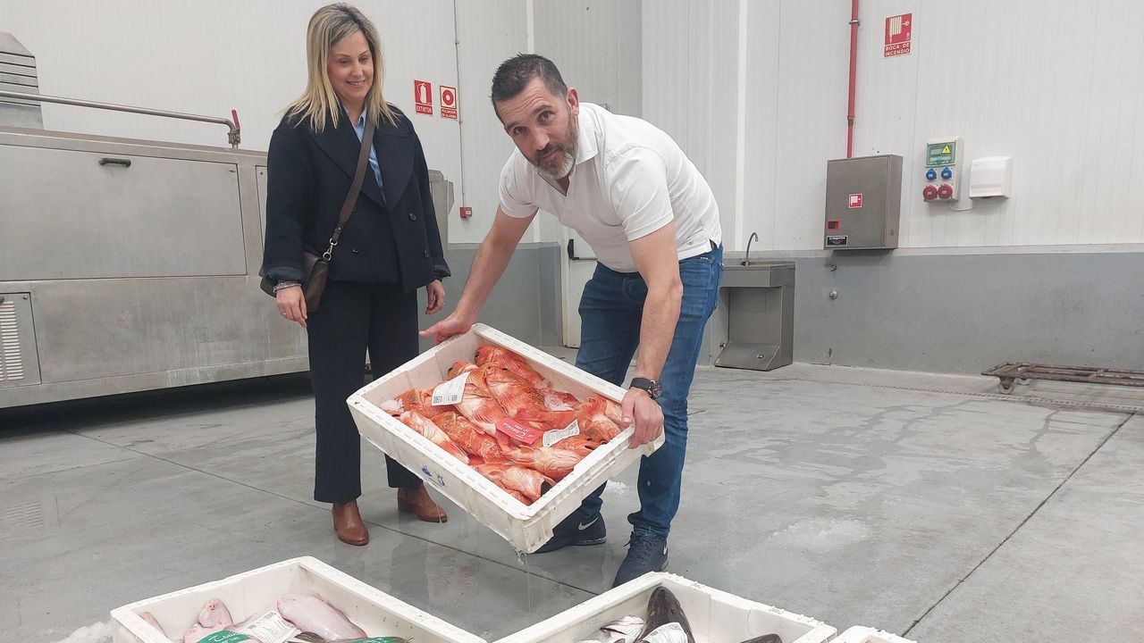 Entrevista a Mar�a Quiroga.Cristina Prieto y su marido, �scar Loureiro, de la empresa A Tra��a, en la subasta de pescado del d�a de la lonja de Cedeira.