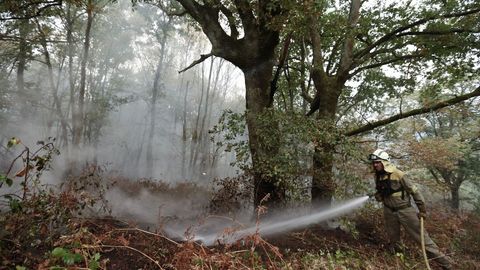 Incendio en una zona de bosque autctono en San Fiz, Bveda
