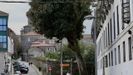 En el barrio de Pelamios, que está a cinco minutos de la Catedral, los vecinos tienen localizados cinco pisos okupados