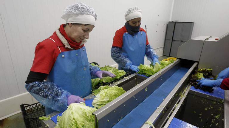 La huerta gallega busca la receta para reconvertirse