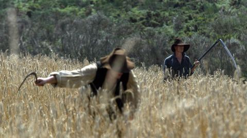 Rodaje de la película «Romasanta», en la que se basa la actividad programada para este sábado en la Ribeira Sacra.