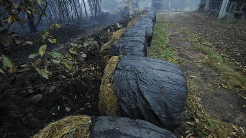 Incendio en Silleda, en la parroquia de Siador