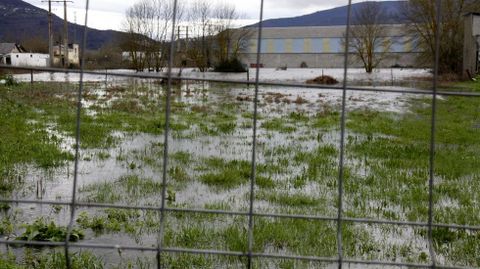 Inundaciones en la provincia de Ourense.La crecida del Sil ha inundado un centenar de casas en O Barco de Valdeorras, además de fincas, huertas y el Malecón