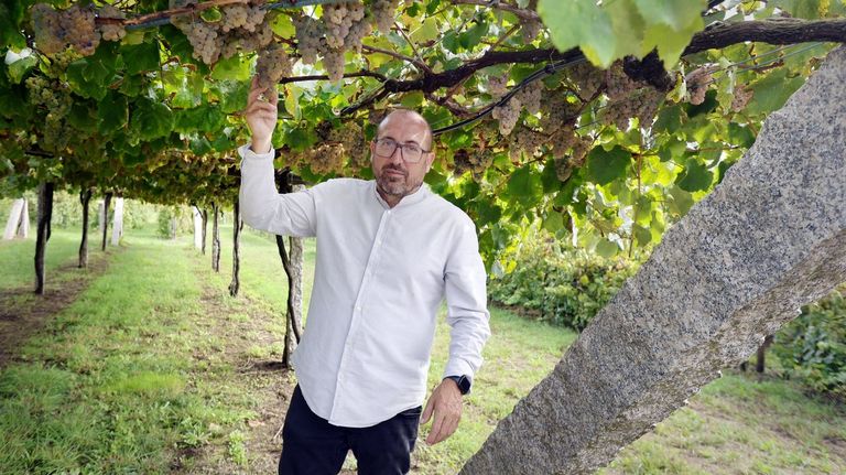 <span lang="gl">Miguel Tubío, Martín Códax: «Hai cousas da agroecoloxía que se poden aplicar no viñedo galego»</span>