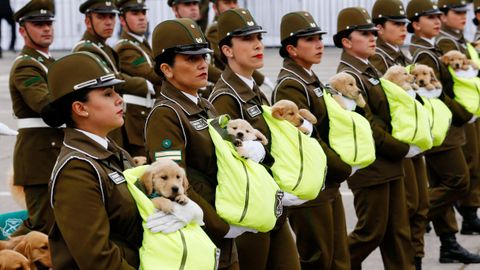 Un grupo de mujeres policas desfilan llevando en brazos futuros perros policas durante la marcha militar anual en el parque Bernardo O'Higgins, en Santiago de Chile