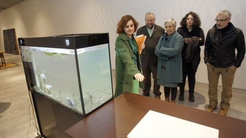 El MIHL se abrió con una muestra de arte contemporáneo, comisariada por Mónica Alonso, en la que se incluía un tanque con pirañas