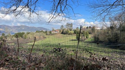 Terrenos de la nueva ciudad deportiva del Real Oviedo