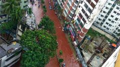 Ros de sangre en Dacca