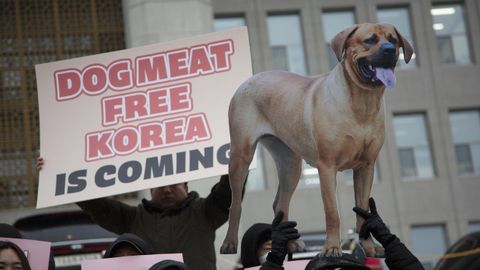 Activistas contra el consumo de carne de perro en una protesta en Sel