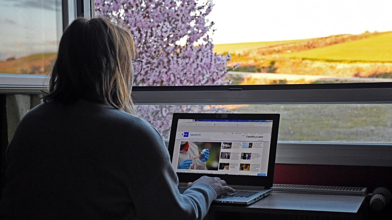 El loro Curro regresa a su hogar en Os Me&aacute;ns, Vila&ntilde;o: ¡las im&aacute;genes!.26 de marzo