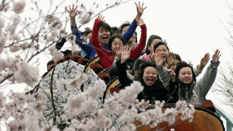 Varios jvenes disfrutan de una vuelta en montaa rusa y de la vista de varios cerezos en flor en Tokio (Japn)