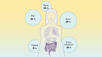 En el cuerpo humano existen diferentes tipos de microbiota segn su ubicacin, funciones y composicin.