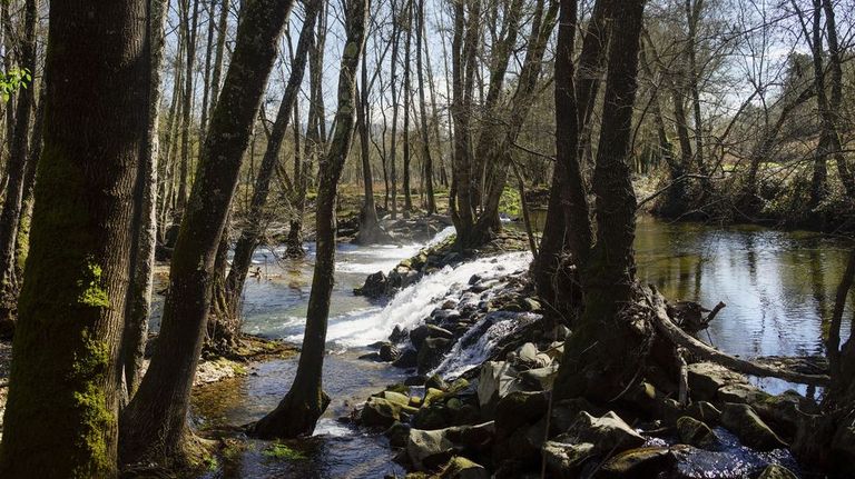 Localizan en el río Támega en Verín el cadáver de un hombre al que se buscaba desde el domingo