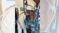 Inés Aznárez trabajando con uno de los caballos de polo.