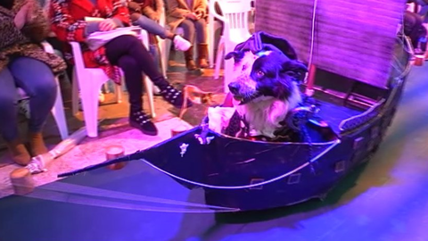 Carnaval de mascotas de Cangas de On�s