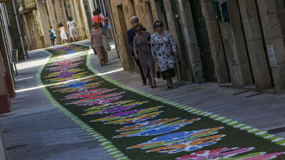 La calle Rafael Calleja pobrense volver&aacute; a lucir un manto de p&eacute;talos