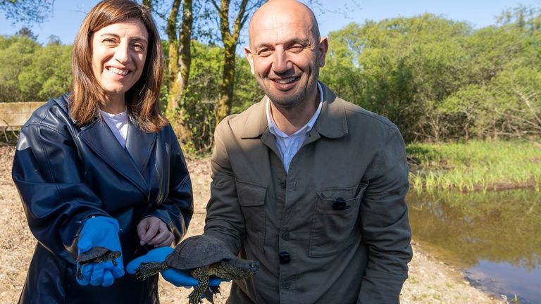 La Xunta reintroduce tortugas europeas de estanque en As Gándaras de Budiño tras restaurar el humedal