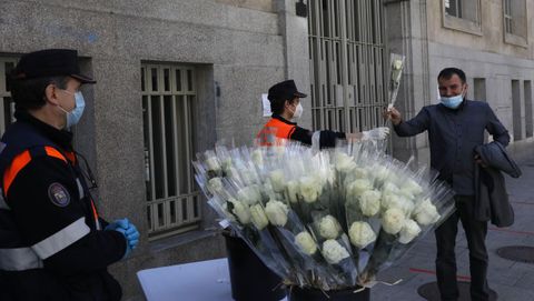 El Concello de Ourense reparti 700 rosas blancas el ao pasado por el Da de la Madre
