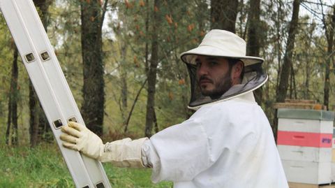 El apicultor Rubn Gonzlez Novoa, recogiendo un enjambre en Sarandn (Vedra).