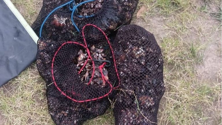 Investigan a un gijonés por la pesca furtiva de 19,6 kg de percebes en El Franco