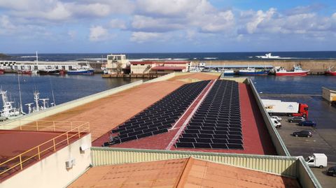Los 360 paneles solares funcionan desde el pasado verano, en la cubierta de la lonja, una obra llave en mano realizada por EDF Solar