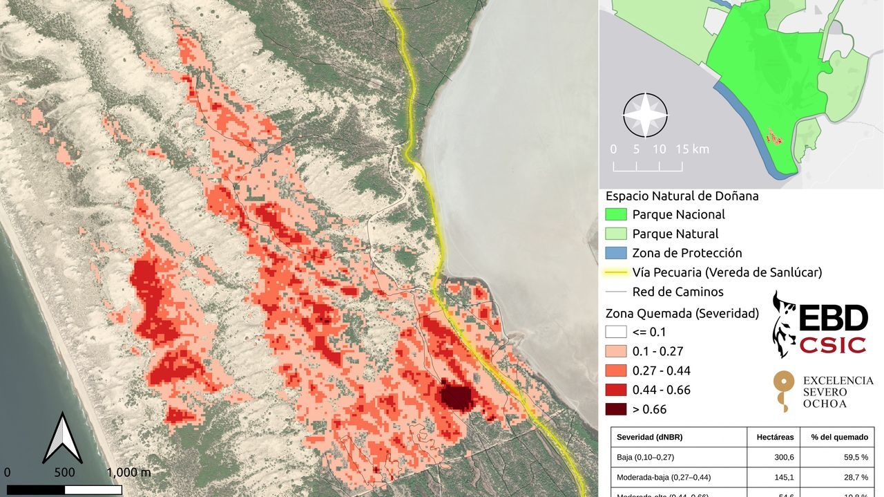carral.Mapa de severidad del incendio en Do�ana