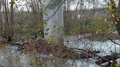 Los troncos y la maleza han vuelto a acumularse en el cauce del Cabe, retenidos por la presa y los pilares del viaducto de Canaval