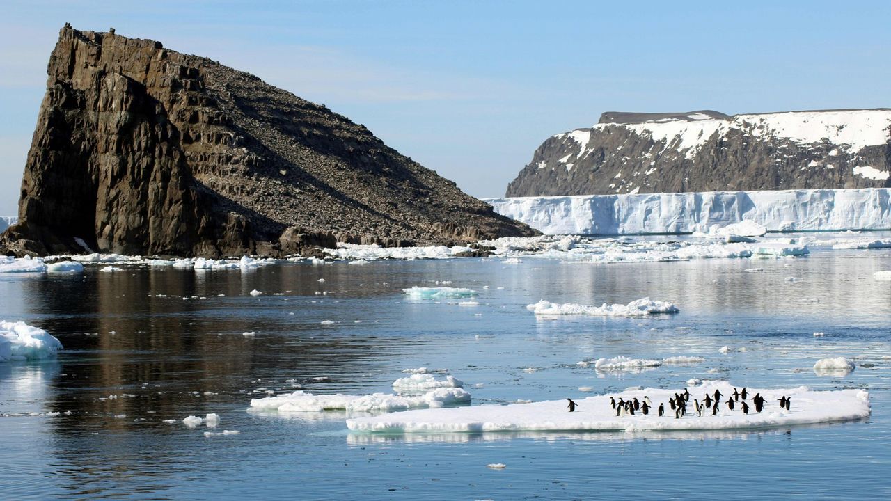 Bardem en la Ant�rtida