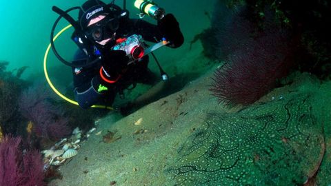 Miembro del Instituto de Investigaciones Marinas de Vigo registrando la presencia de una raya en aguas de las Cíes