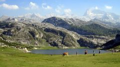 El lago Ercina, en Picos de Europa.El lago Ercina, en Picos de Europa