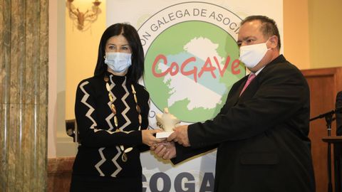 Entrega de los VIII Premios CoGaVe en el Círculo de las Artes de LugoLa asociación de Ourense hace entrega a a colegio de enfermería de Ourense